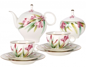 Lomonosov Imperial Porcelain Bone China Tea Set 20pc Dome Aquarelle