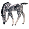 Horse Drinking Gray Colored Lomonosov Imperial Porcelain Figurine